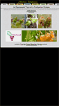 Mobile Screenshot of chateaustripmine.info