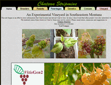 Tablet Screenshot of chateaustripmine.info
